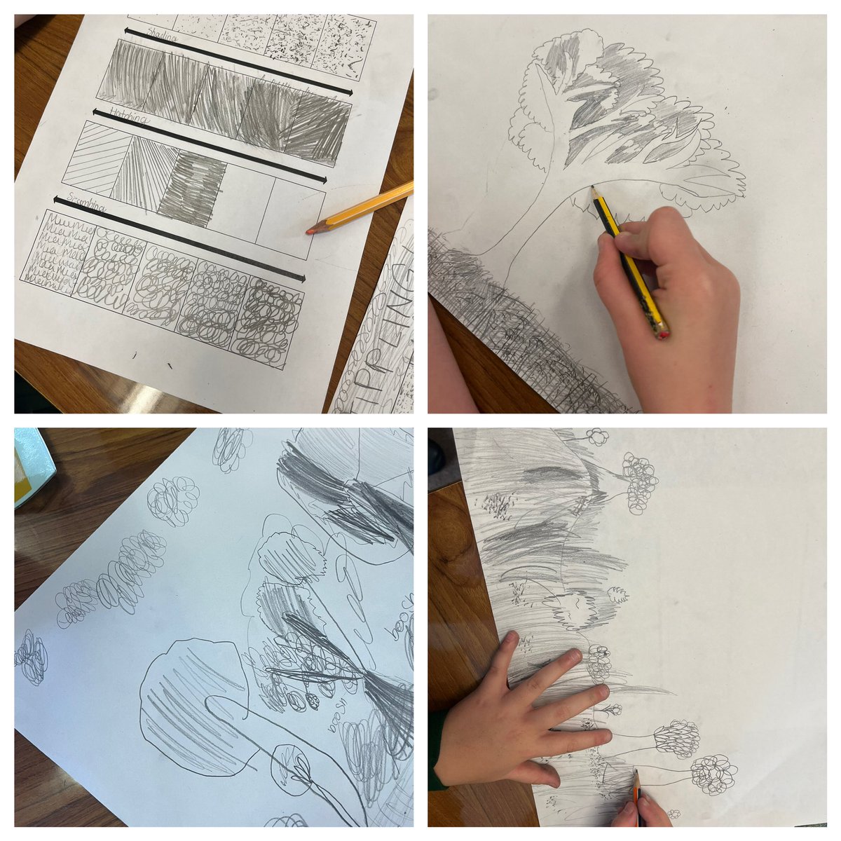 Today we enjoyed using different techniques to add to our outdoor area drawings to add tone and texture 🌳✍️