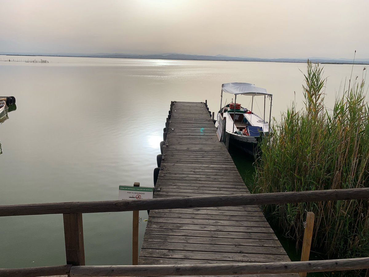 AlexisMariM's tweet photo. Que no digo que me lo mejoréis. Igualádmelo! 
#albufera
#mirador 
#ennuestracasa 
#valencia https://t.co/YSY9KT4oPV