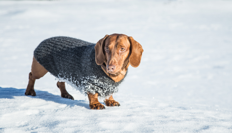 MerriamWebster's tweet photo. The weather is getting chillier, so here’s a nice seasonal example of a word whose origin is hidden in plain sight: ‘knit’ comes from the Old English word 'cnyttan,' which means "to tie in a knot.” https://t.co/2NydOmlgzJ