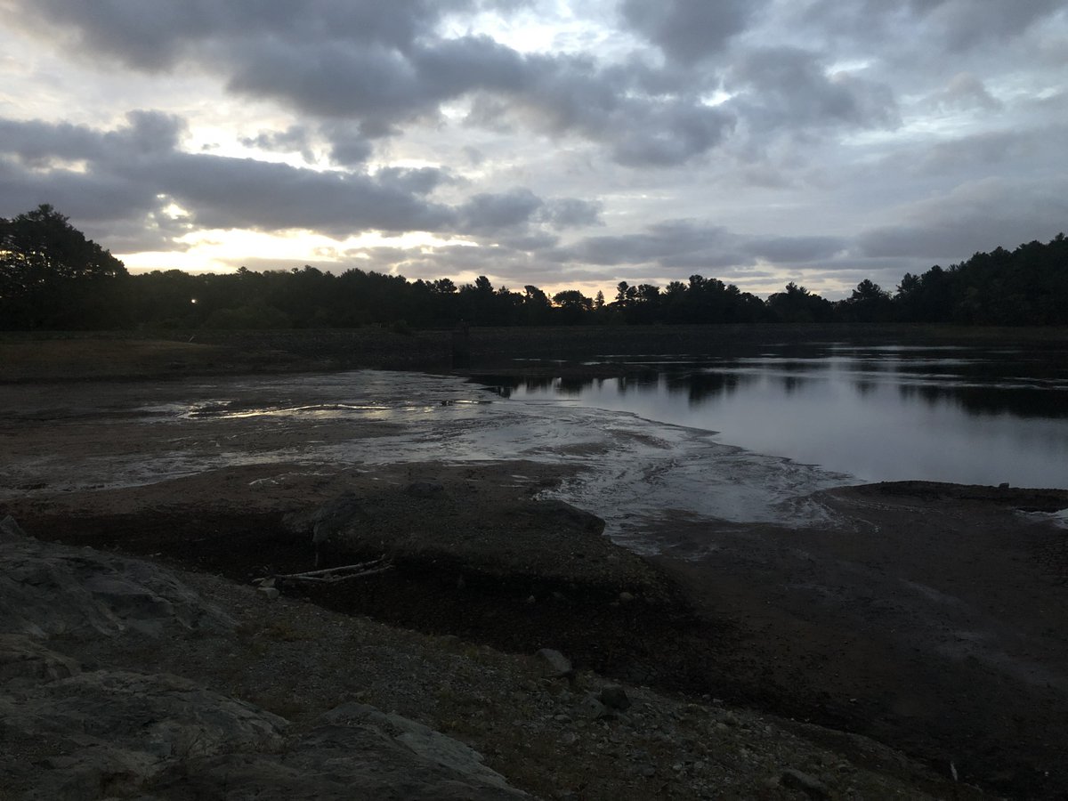 BurlingtonConservation tweet media