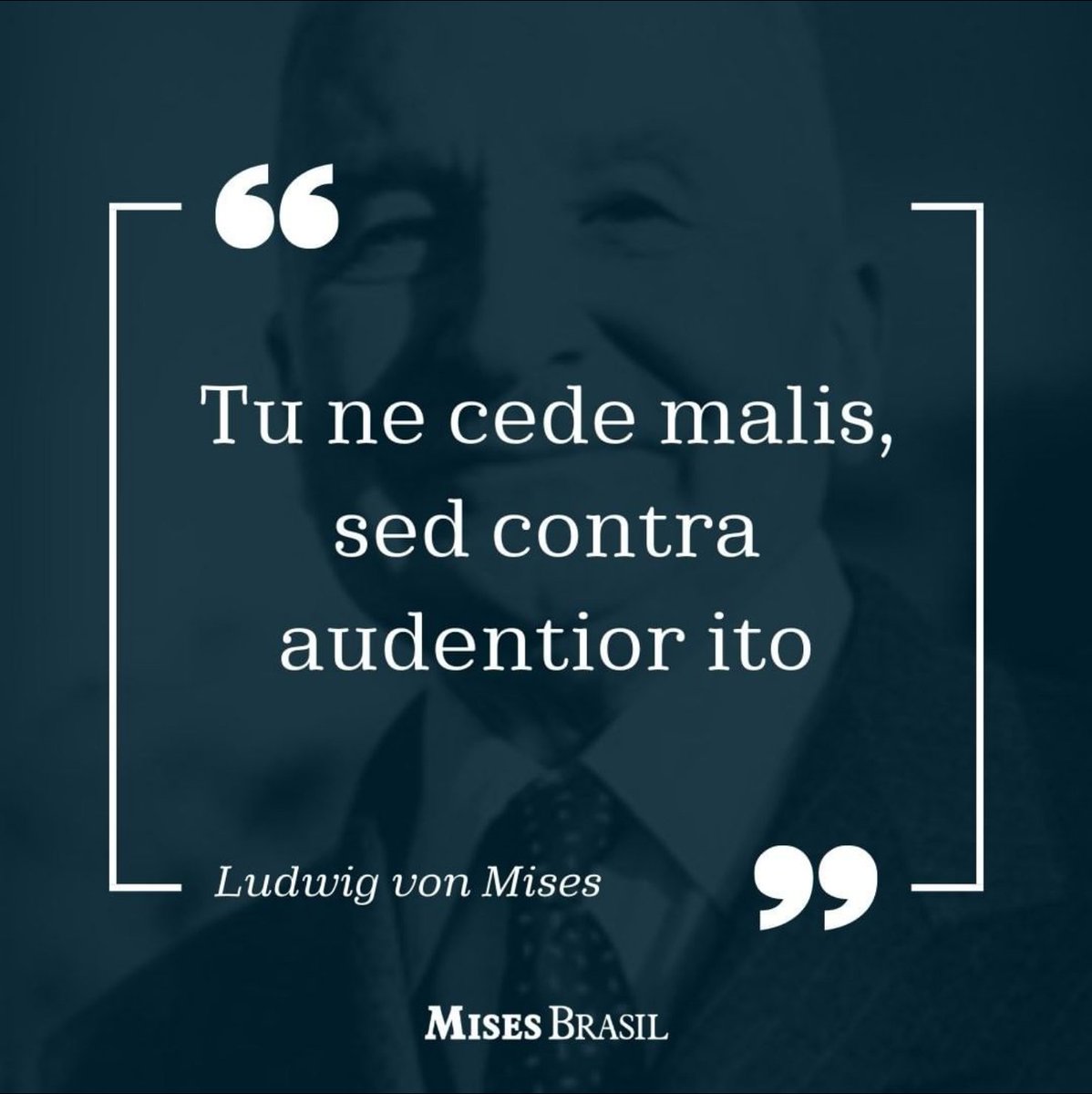 Essa frase linda de Ana Primavesi consta na biografia \, image size:1198x1200