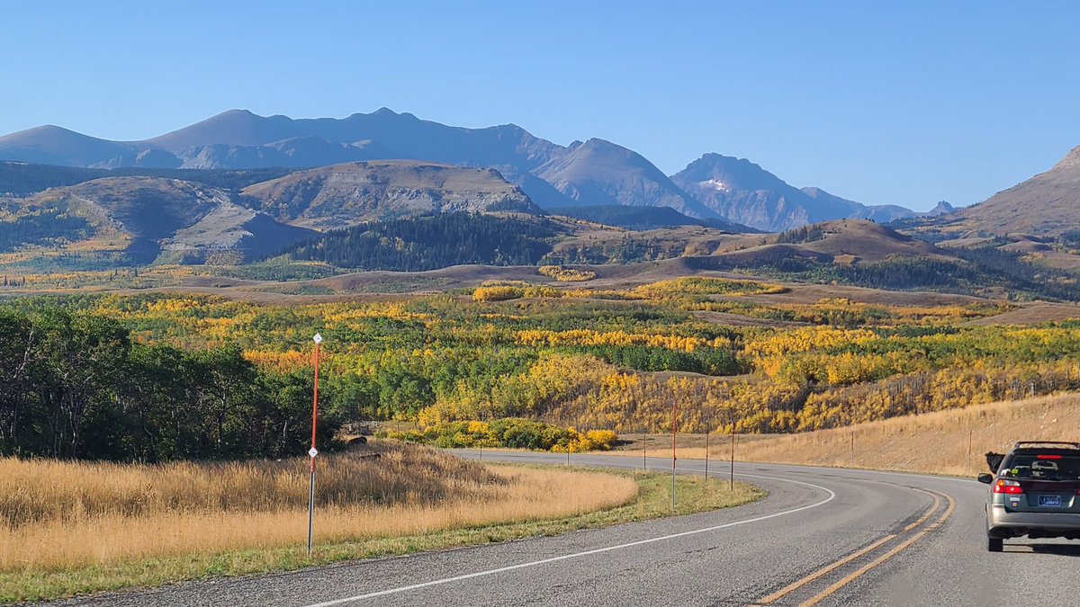 TonyBynum's tweet photo. Im not exaggerating, this is the year to go to Glacier for fall colors. The forecast is exactly what we need to make this one of the most incredible fall color years in recent memory. #glacierpark #montana @visitmontana @glaciermt https://t.co/37eh6Xsqrs