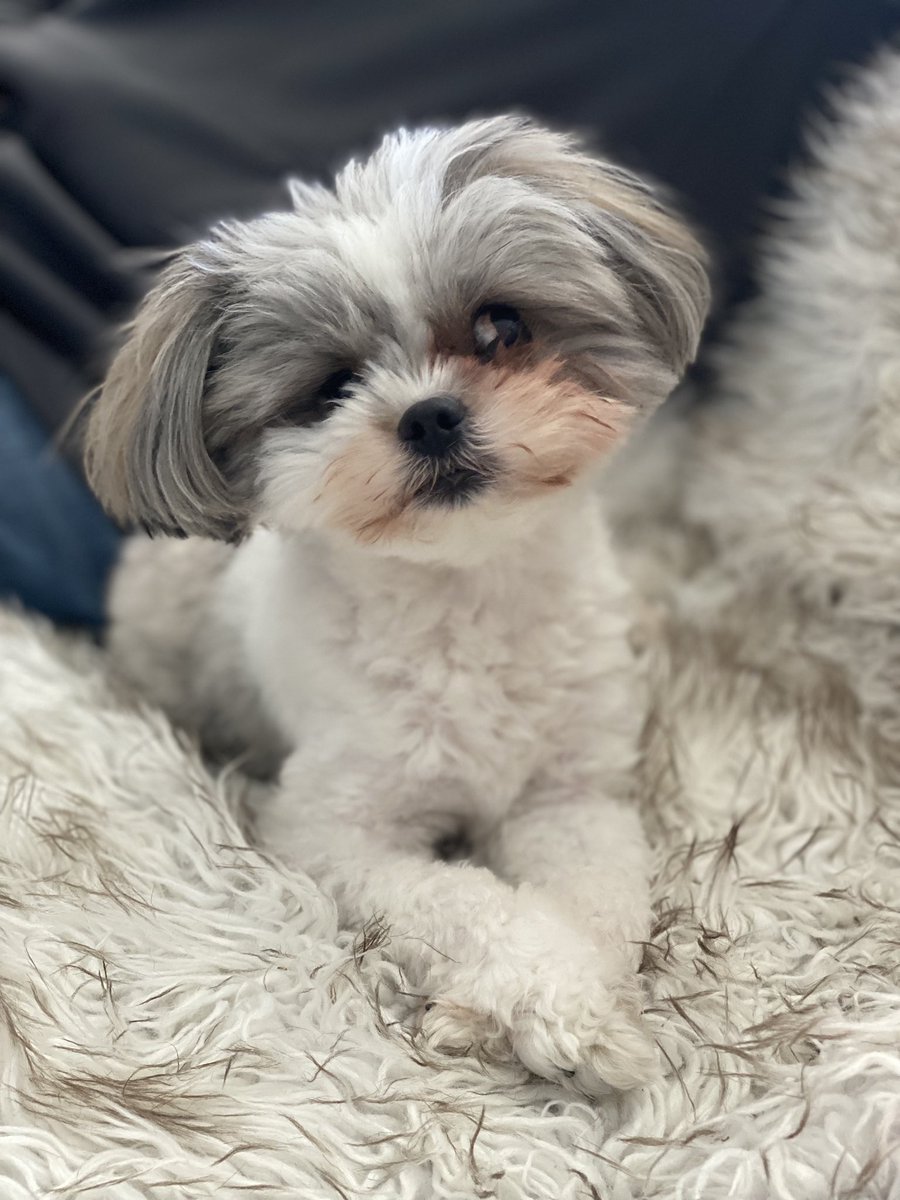 Sarah Johnson tweet media