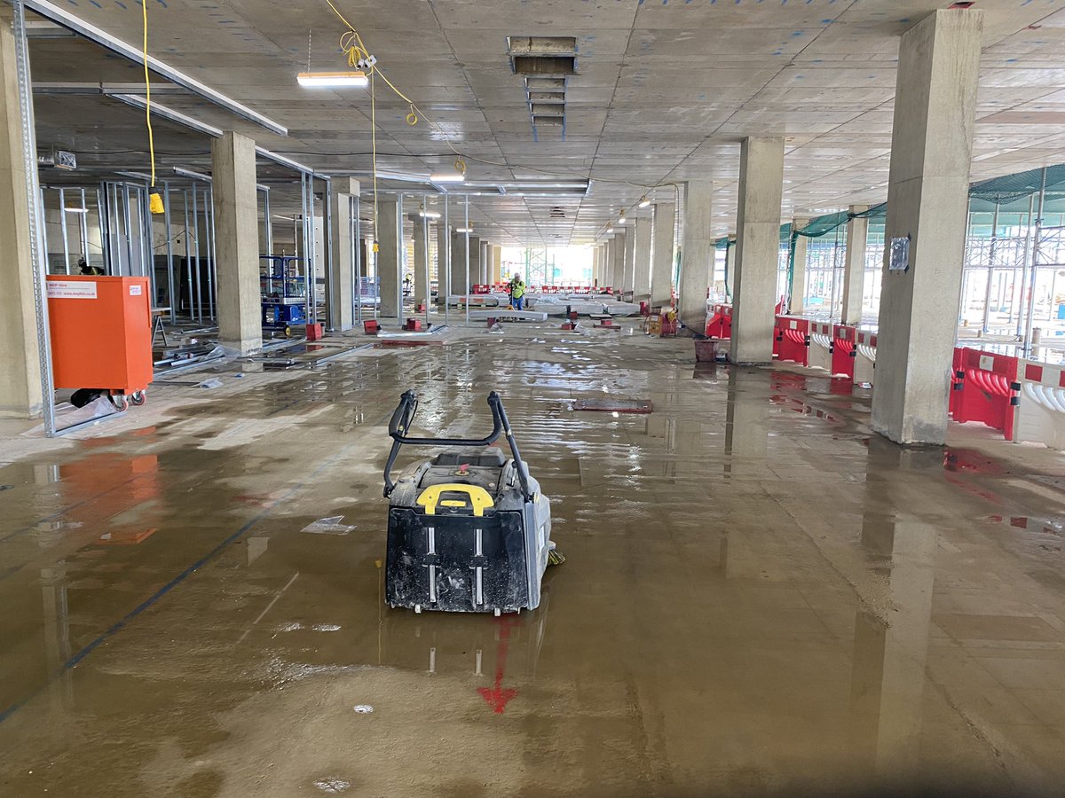 Michelle Higgins tweet media