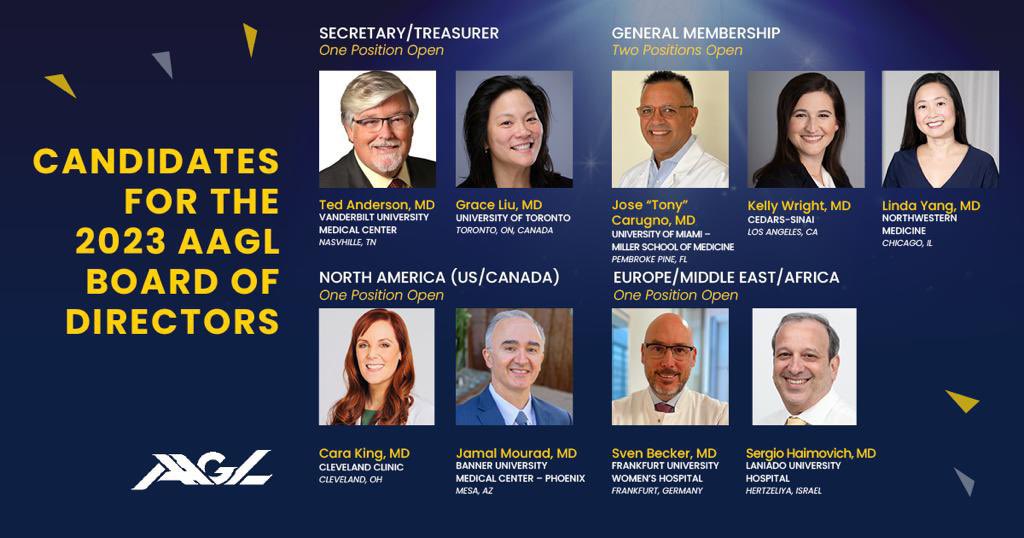 It is an honor to be a part of this all-star @AAGL ballot 🤩 - I am so thankful for this opportunity to serve and to shape the future of #MIGS buff.ly/3C5nb3T