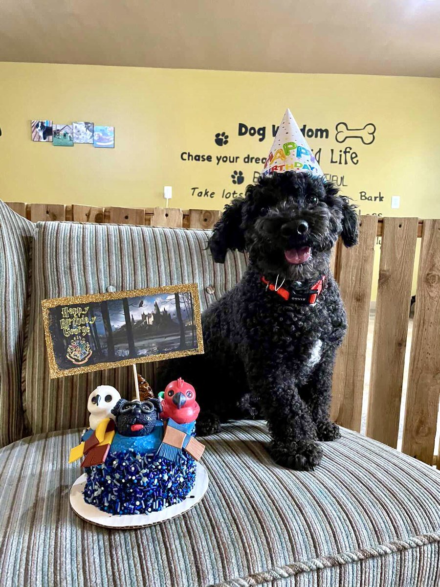 Madison Amons tweet media