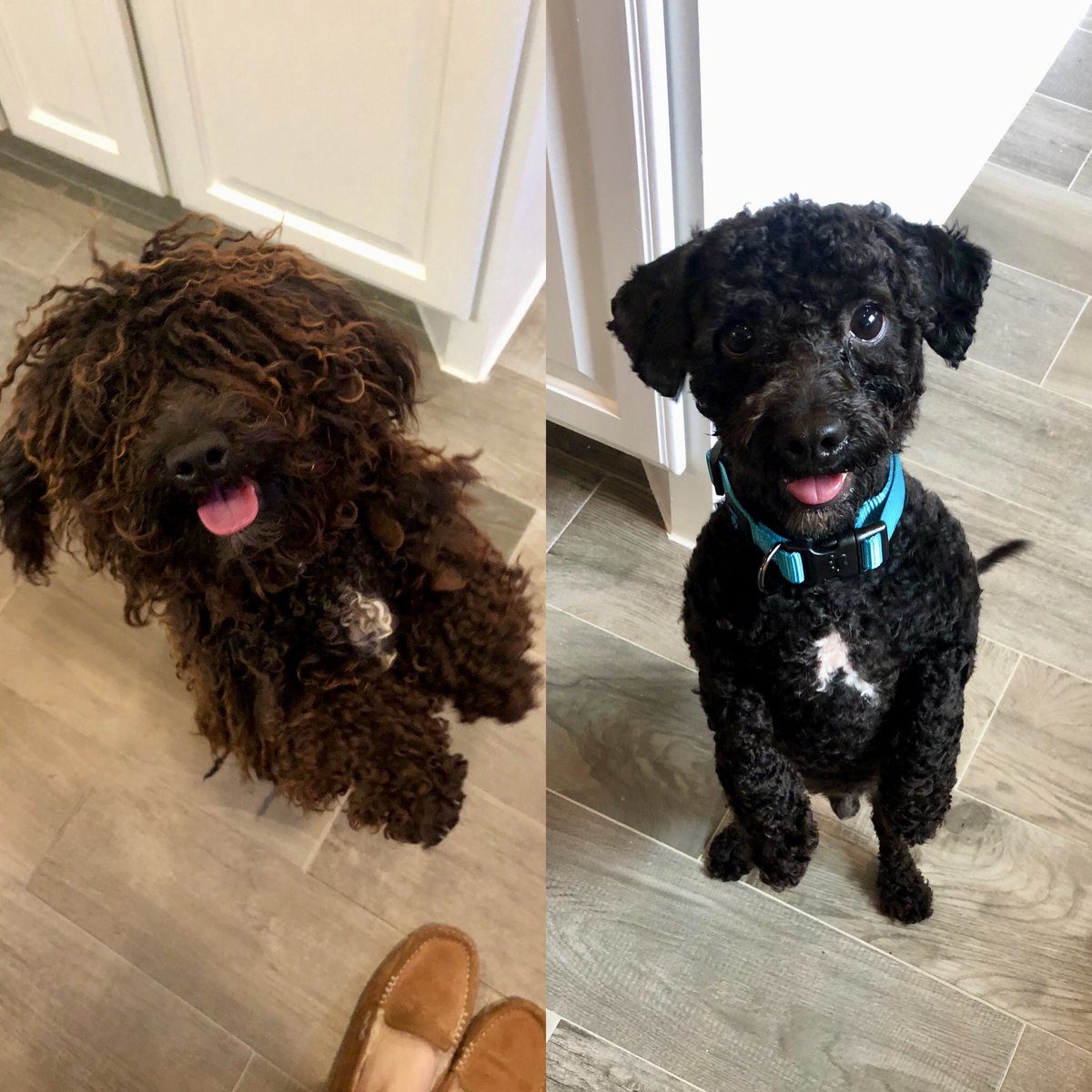 Madison Amons tweet media