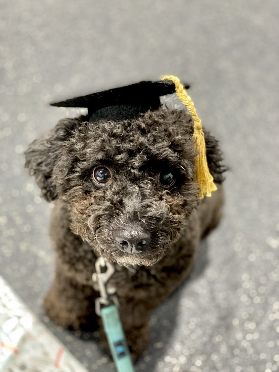 Madison Amons tweet media