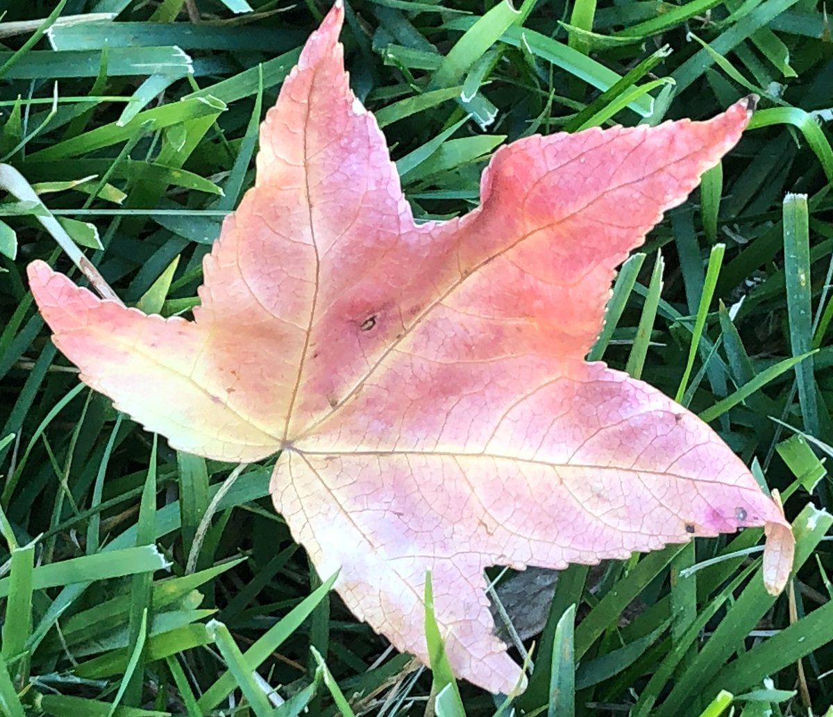 Rick Rockwell tweet media