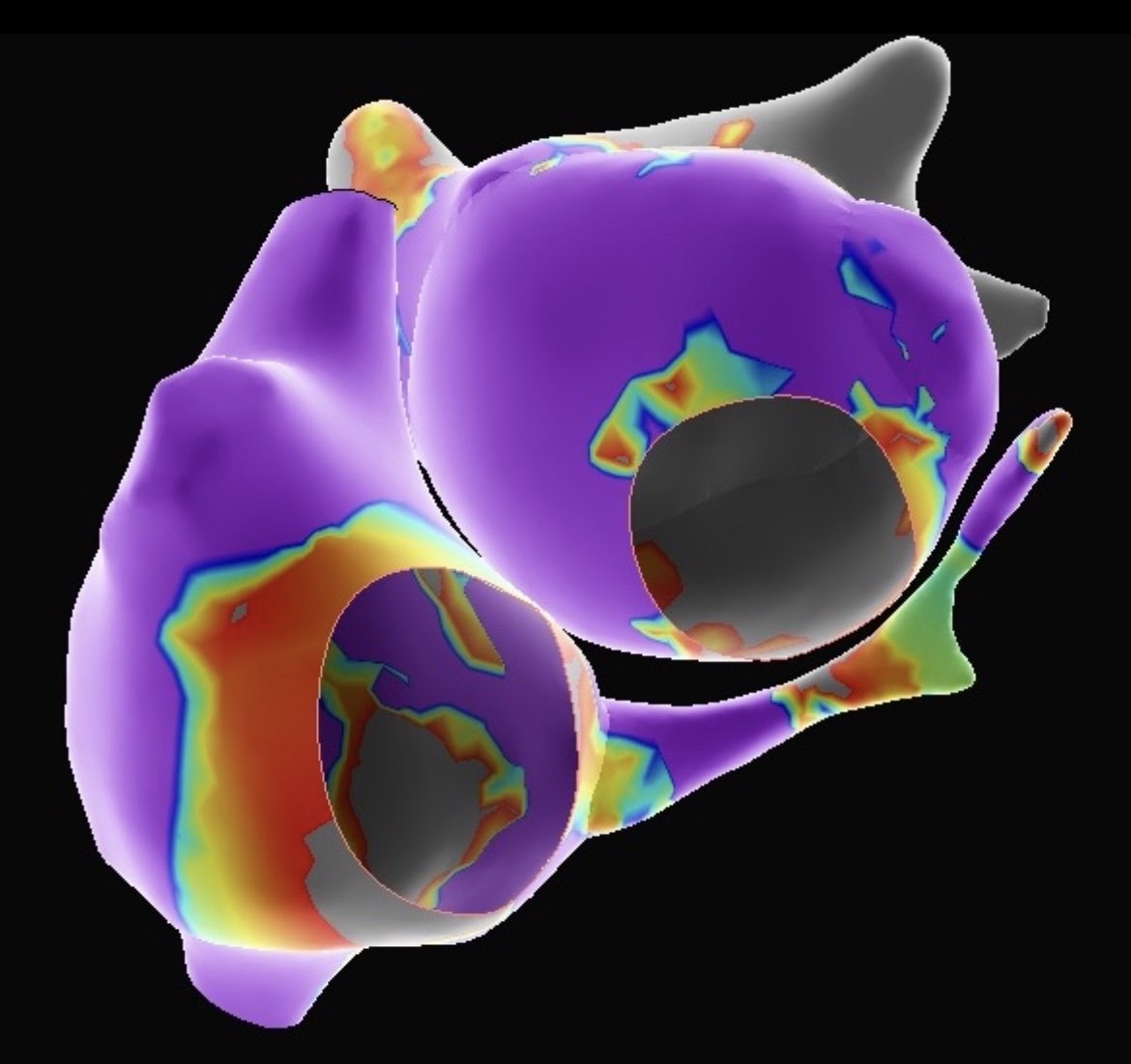 Paige Reisman - EP tweet media