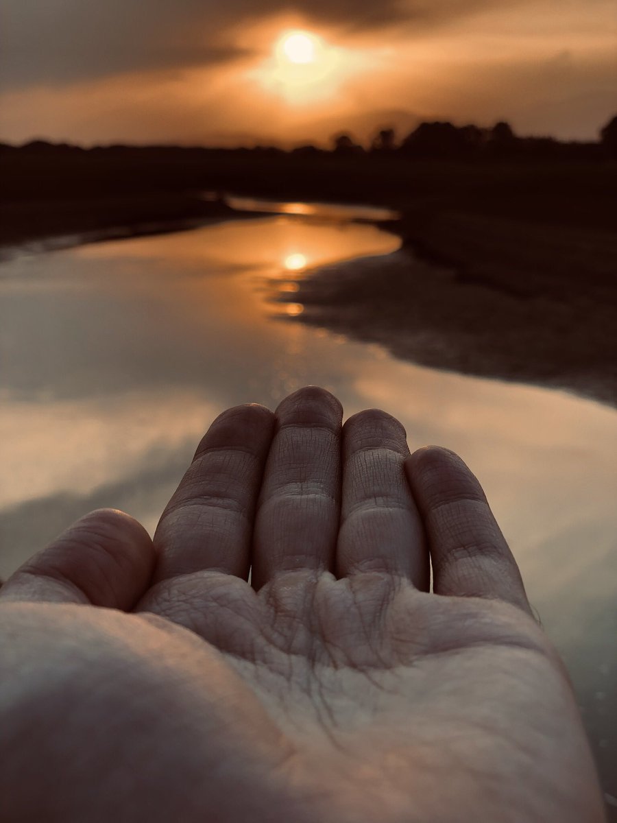 TRAKEorg's tweet photo. Sunset 🧡
#Mondayvibe #dreamwastaken #sunset https://t.co/W3SZYA4GzU