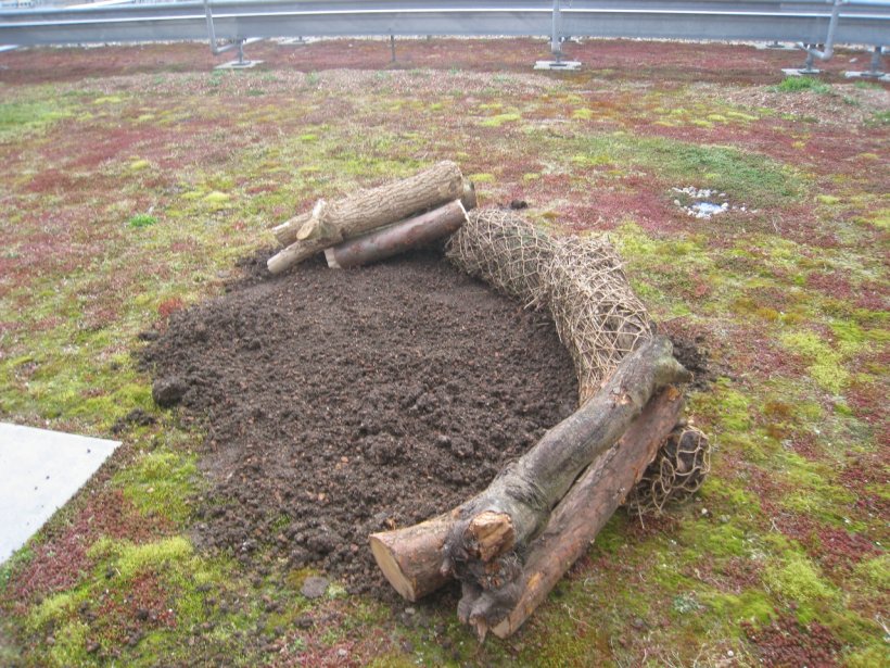 SkyGardenUK's tweet photo. We have a passion for the environment and sustainability. Green roofs are environmentally friendly, wildlife-friendly, attractive and sustainable.
#Environment #biodiversity #eco #greenroofs #nature #sustainability #greenspaces #urbangreenining #greenitall https://t.co/MYzOYfHy7R