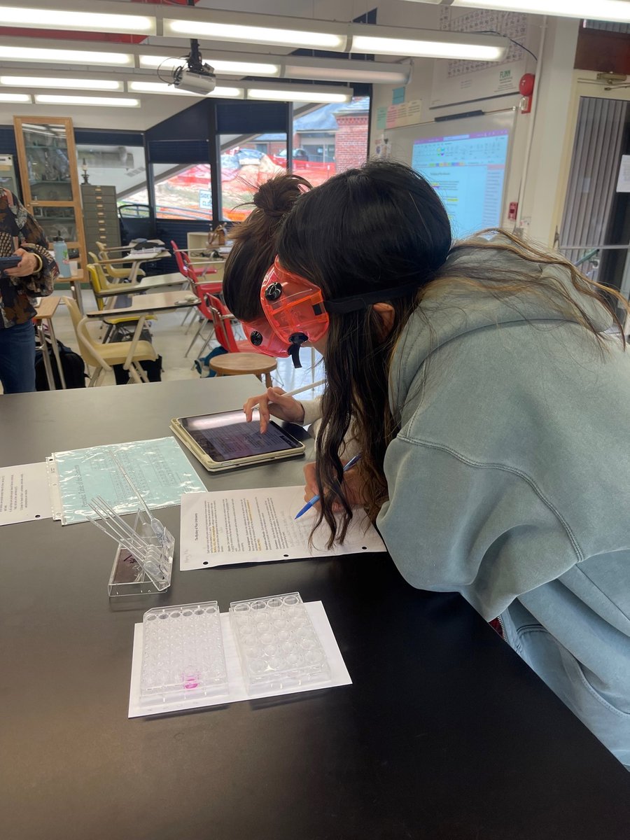 MadeiraScience's tweet photo. Solving the mystery of four unknown solutions in AP Chem🧐 #MadeiraScience #MadeiraLearns https://t.co/0iCrqaIr1b