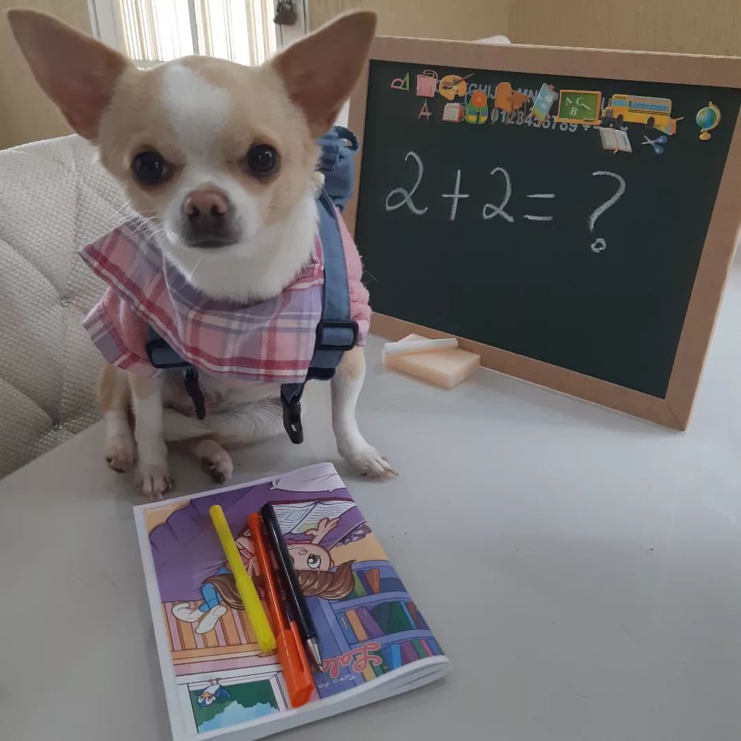 공부 열심히 하셔야 하는 분들
모두 공부 열심히 하셔야 합니다와와