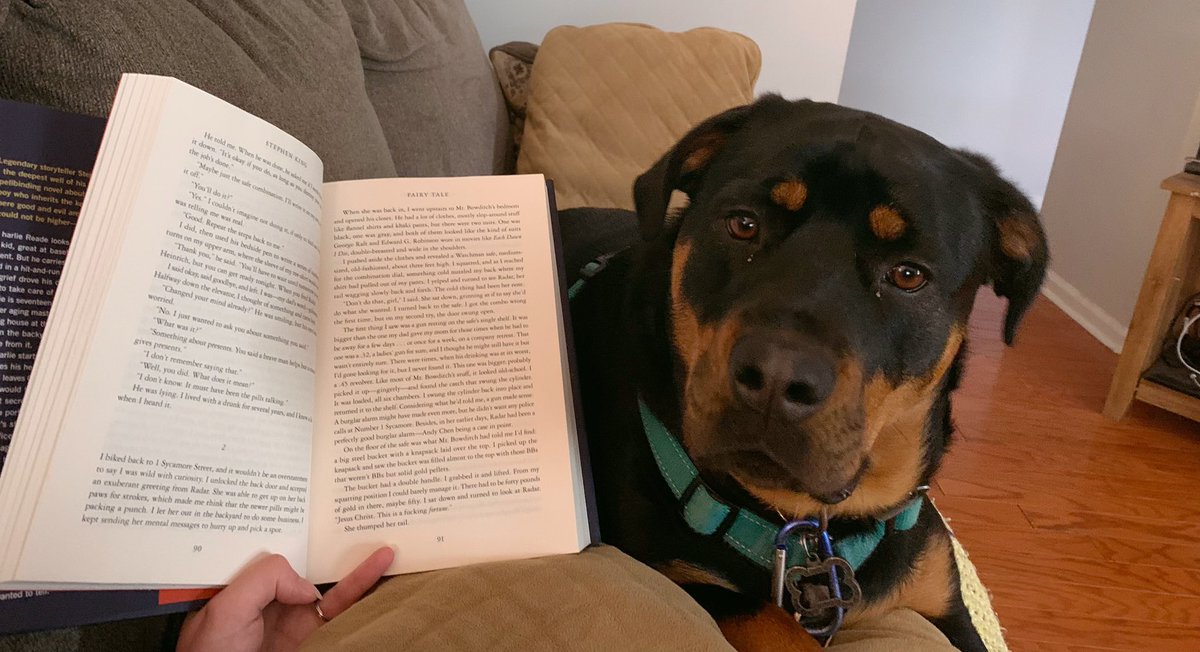 Kateeod's tweet image. Quickly realizing that in order to read the new @StephenKing I must keep the pup nearby at all times for easy access to hugs and snoot kisses. Not sure I’ll make it if anything happens to Radar #Fairytale