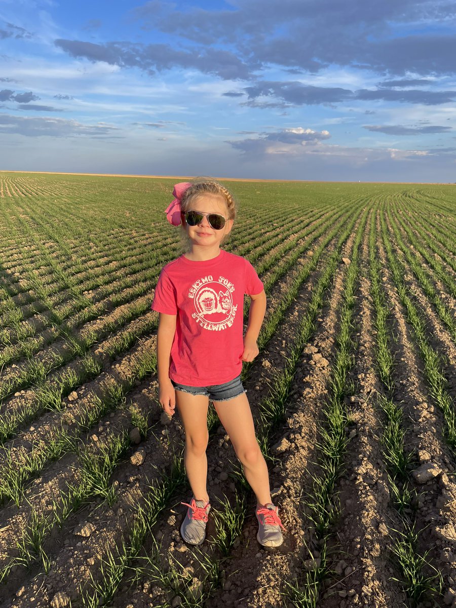 Considering how dry it was in Q4 of 2021, extremely happy to see good soil moisture for the winter wheat crop in Eastern CO and Western KS. Fun to have a sidekick with a bow willing to listen about seeding depth, coleoptile length and seedling development.
