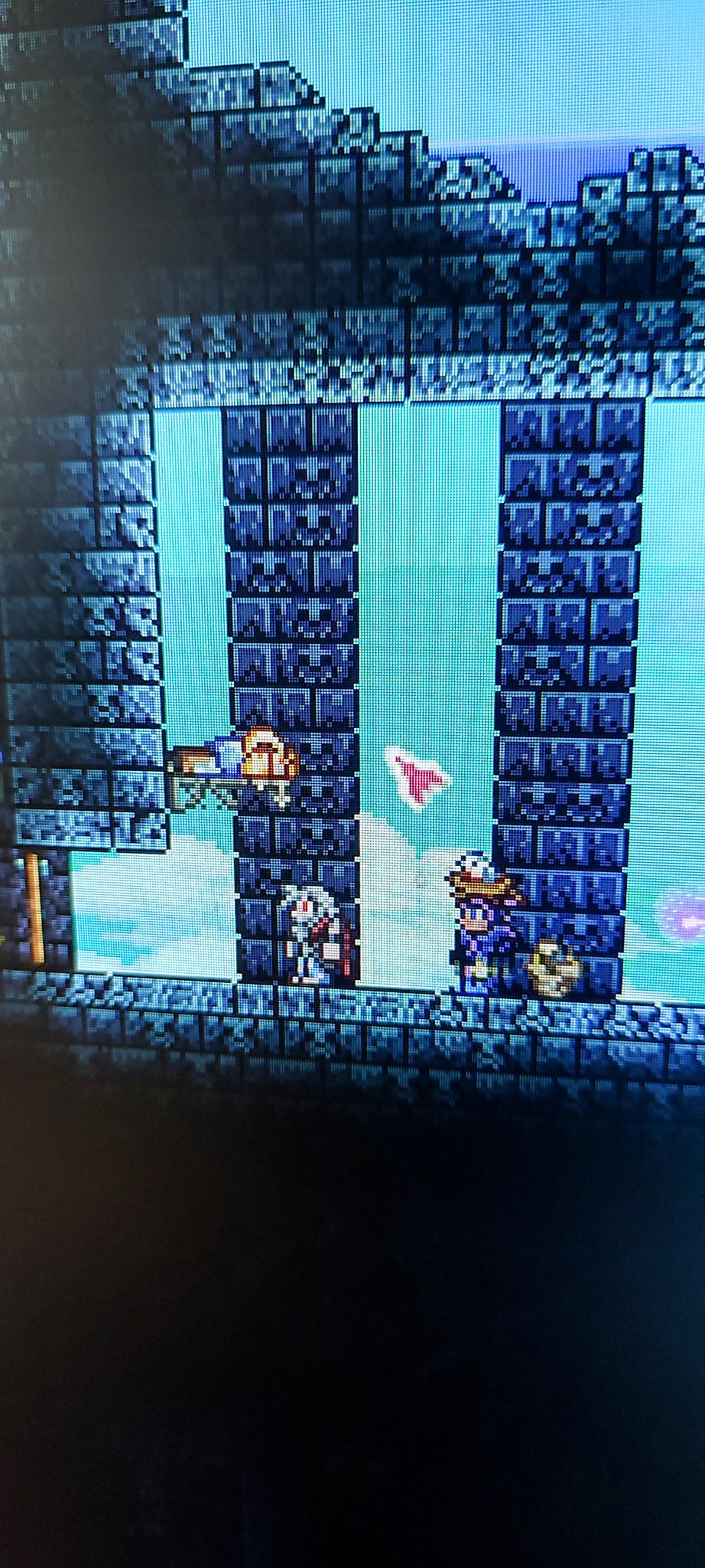 r/Terraria on Twitter "Cant sleep there sir https//t.co/Vs4We7dVza