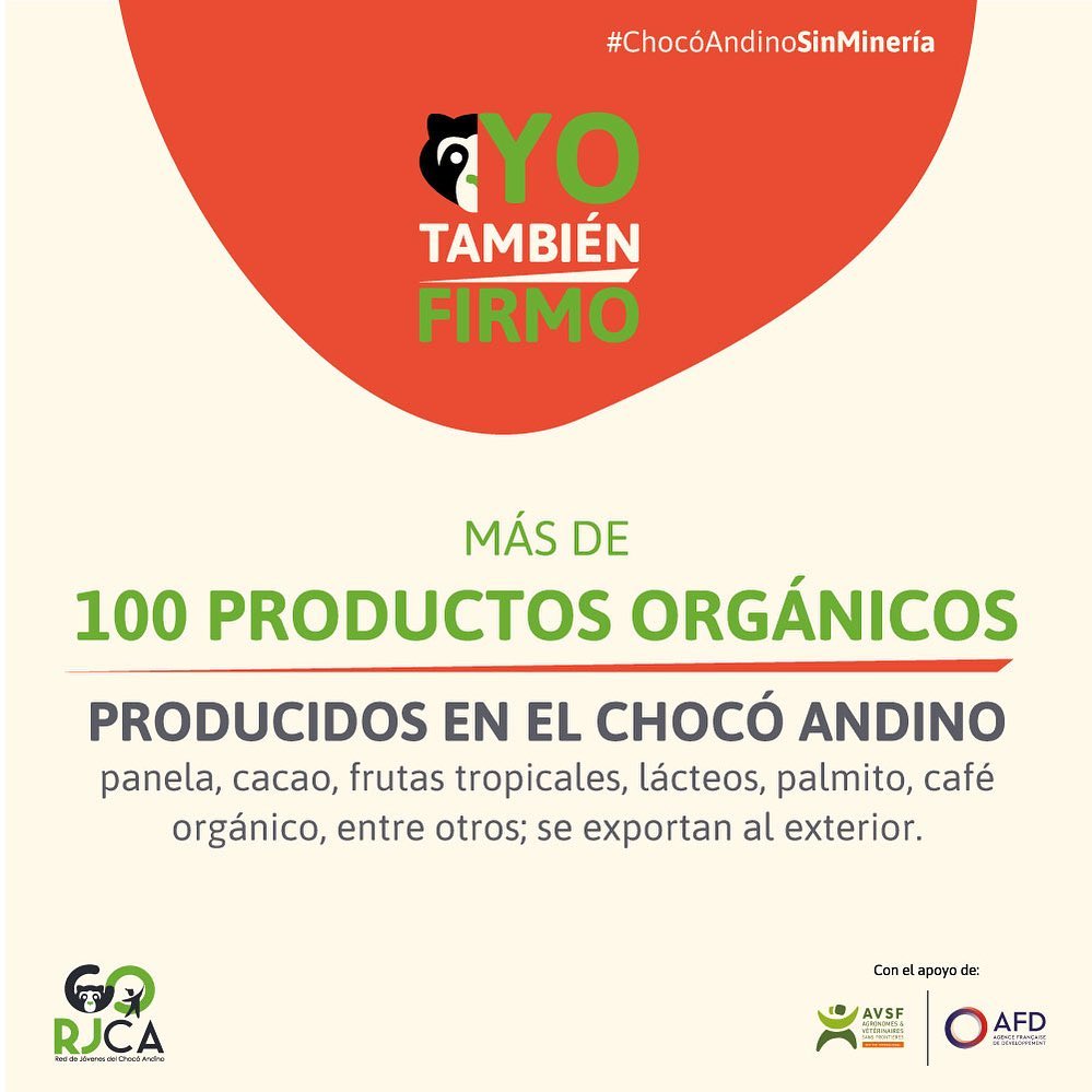 🟠🟢🔵 #JóvenesyDefensaDelTerritorio 🇪🇨
En la Mancomunidad del Chocó Andino (noroccidente de #Quito: #Calacalí #Nono #Nanegal #Nanegalito #Pacto #Gualea), se encuentra variedad de productos orgánicos.
#YoTambiénFirmo por la #ConsultaPopular para decidir sobre la actividad minera.