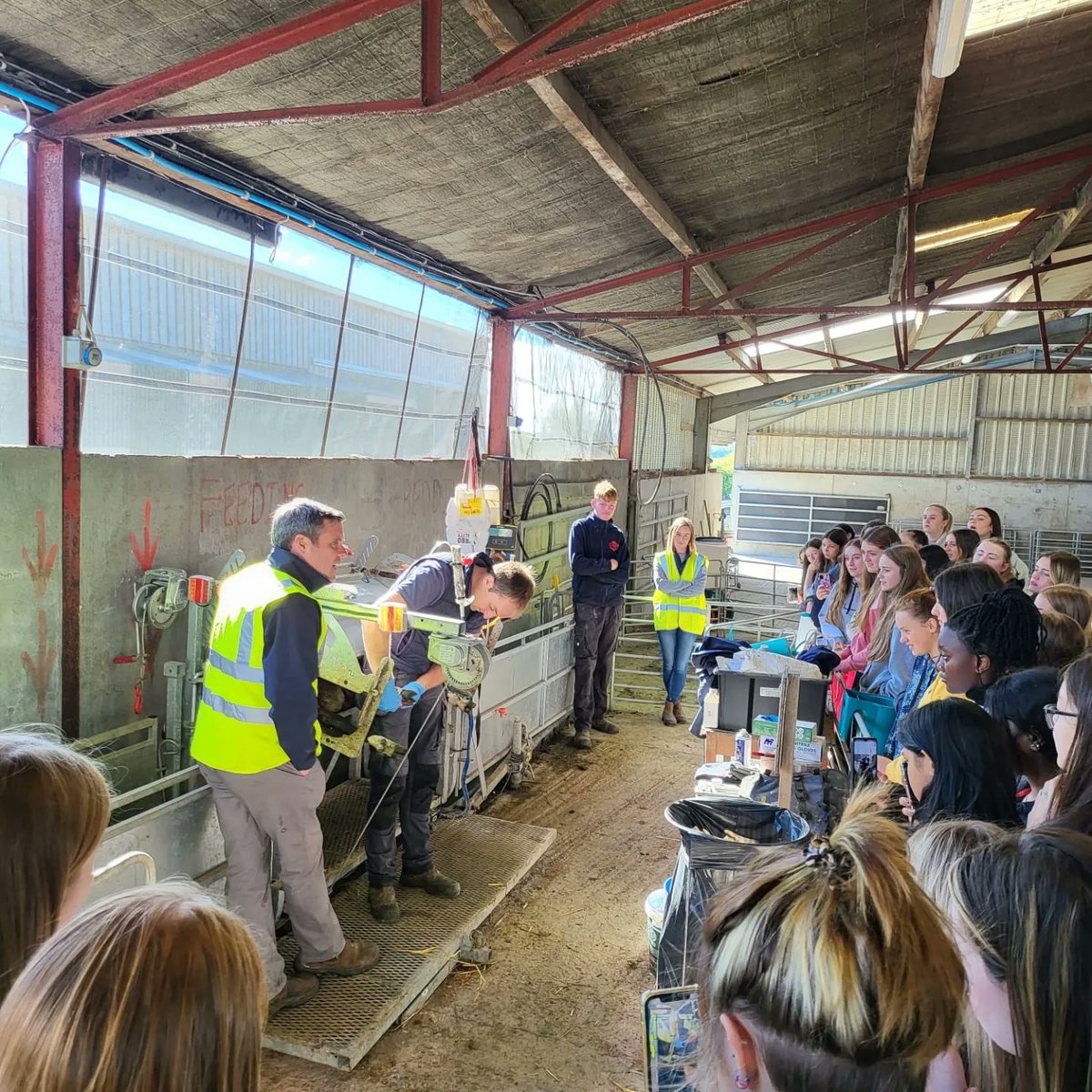 conroyfarmtours's tweet photo. Dominican College Galway @dominicangalway Taylor's Hill Transition Year Students: Part 2 thoroughly enjoyed their time on the farm last Thursday! 
By the end of the tour don't know if girls were more impressed by Billy, Blonde or Smallie 😉🤣

@conroyfarmtours
@konfect_bakery https://t.co/didcJcU8tA