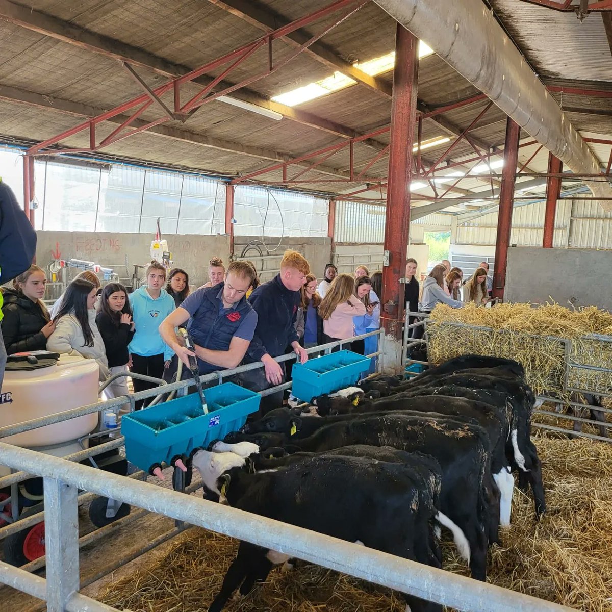 conroyfarmtours's tweet photo. Dominican College Galway @dominicangalway Taylor's Hill Transition Year Students: Part 2 thoroughly enjoyed their time on the farm last Thursday! 
By the end of the tour don't know if girls were more impressed by Billy, Blonde or Smallie 😉🤣

@conroyfarmtours
@konfect_bakery https://t.co/didcJcU8tA