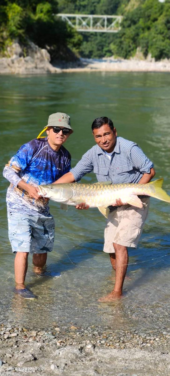 dSaurabiography's tweet photo. Very few #river stretches in #Uttarakhand still hold a sizeable population of #mahseers. Observable #decline of the species over the last few years is #concerning. #CatchandRelease data is contributing significantly to our current state of #knowledge. https://t.co/4egAPAIhaJ