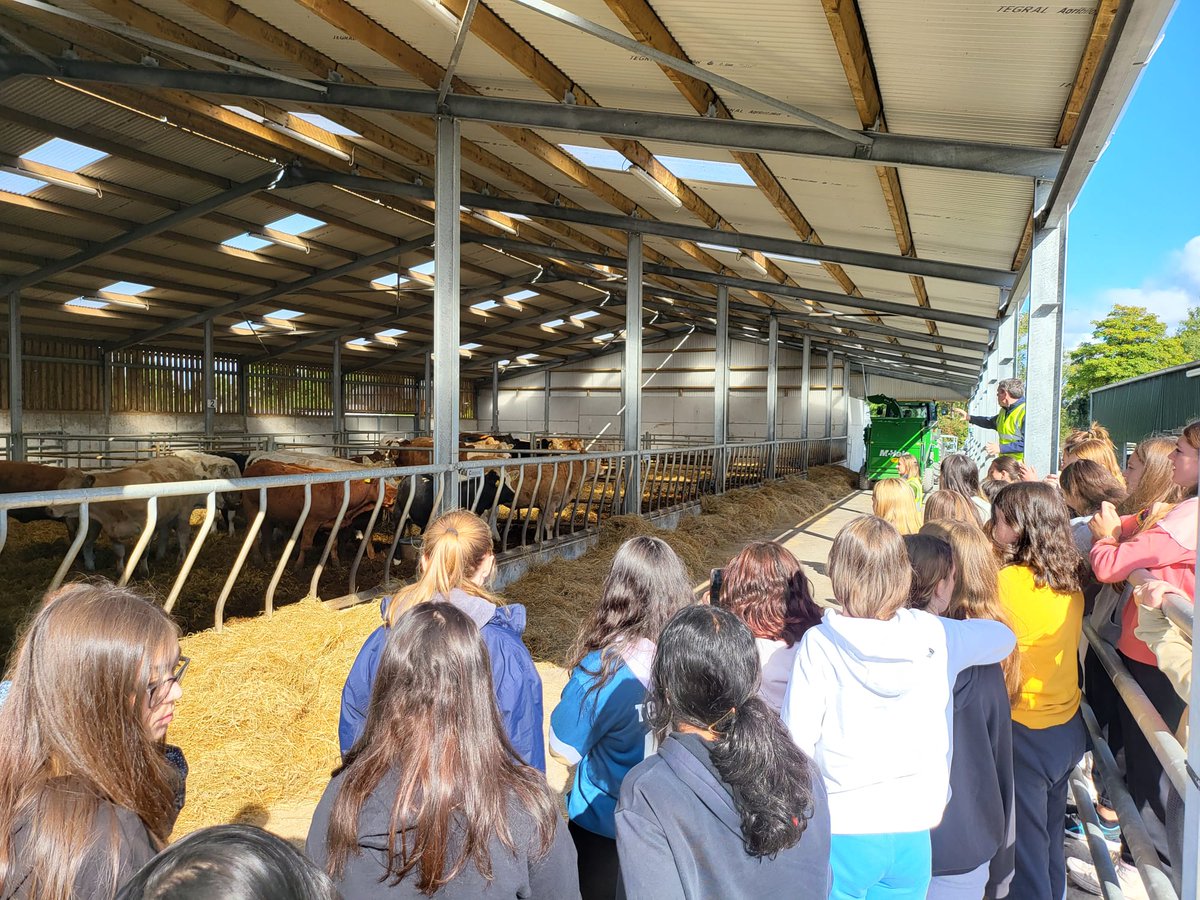 conroyfarmtours's tweet photo. Recent farm tour with @dominicangalway 
Very pleasant girls to have around the farm.

@conroyfarmtours 

#agscience #TY2022 https://t.co/gpys15Z1dn