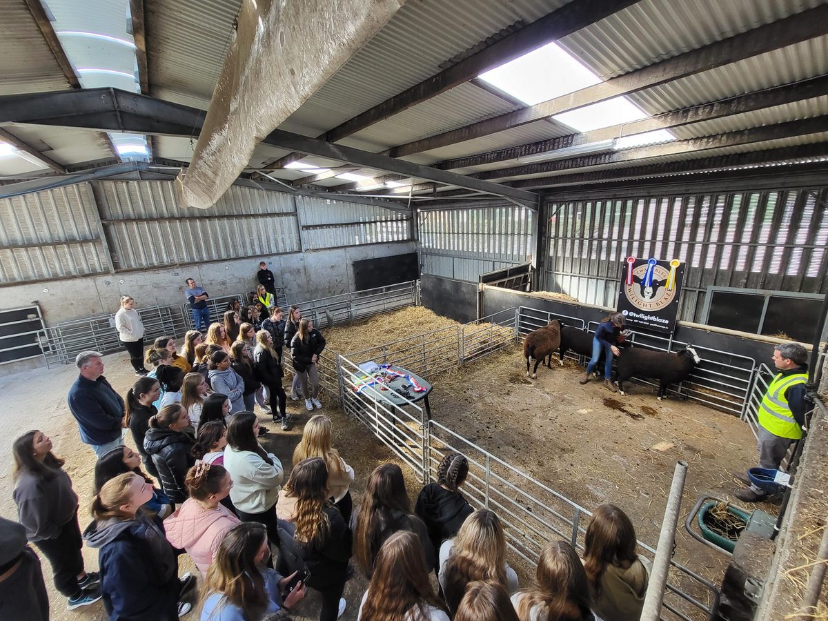 conroyfarmtours's tweet photo. Recent farm tour with @dominicangalway 
Very pleasant girls to have around the farm.

@conroyfarmtours 

#agscience #TY2022 https://t.co/gpys15Z1dn