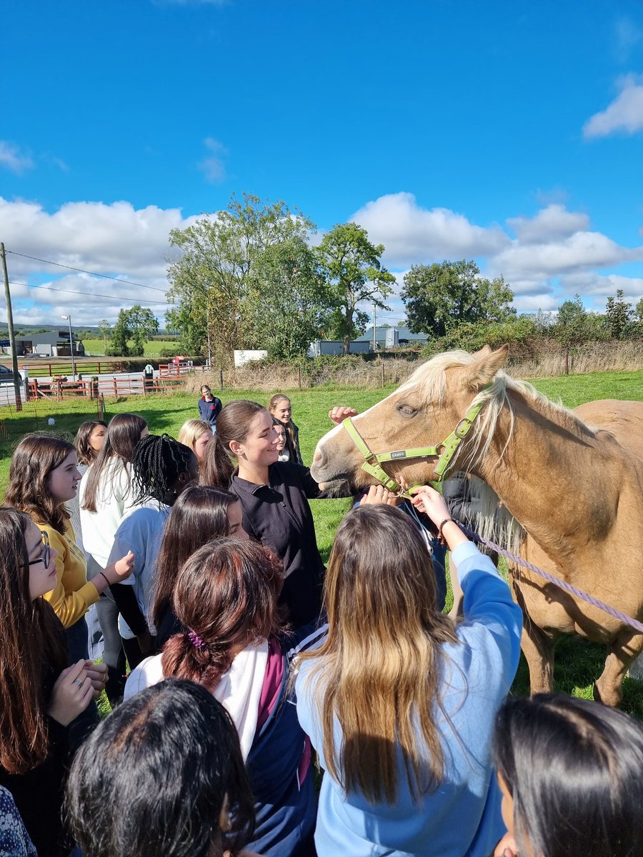 conroyfarmtours's tweet photo. Recent farm tour with @dominicangalway 
Very pleasant girls to have around the farm.

@conroyfarmtours 

#agscience #TY2022 https://t.co/gpys15Z1dn