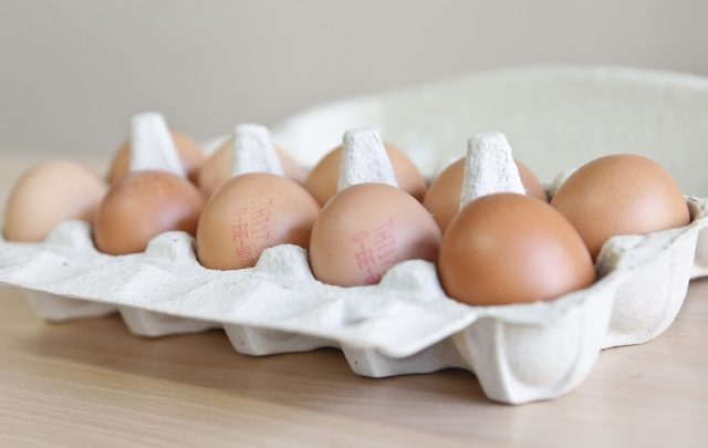 news_ghana's tweet photo. Consumption of eggs has no age limit – GNEC https://t.co/uvcCi3EkaP #Health #consumption #Eggs #GNEC #MadamComfortKyerewaaAcheampong https://t.co/q5H1CF3sE1