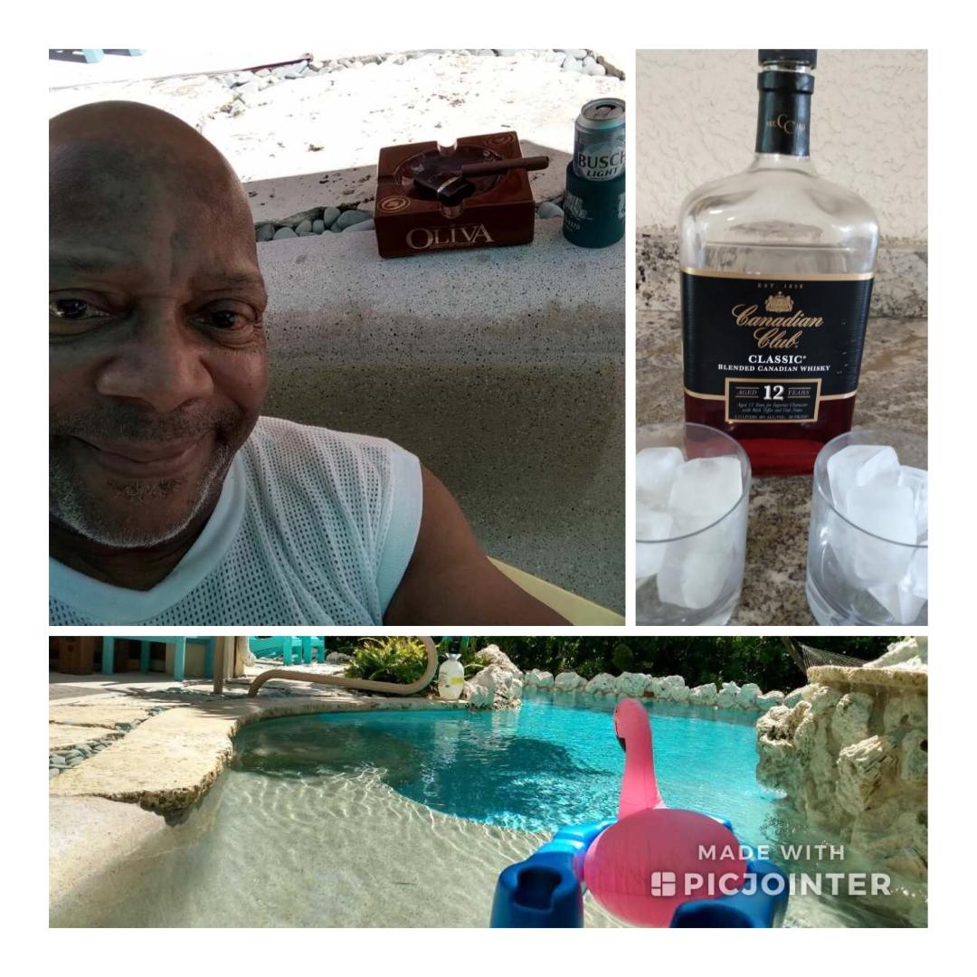 icecElizabeth tweet picture