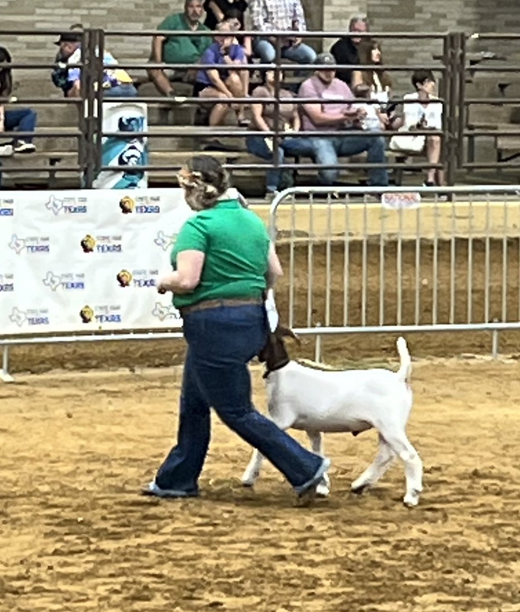 findtanis's tweet photo. Congratulations to Madam President Kinley Waldrop for placing 10th place with her market goat ag State Fair of Texas! https://t.co/FRb6Vl6lud