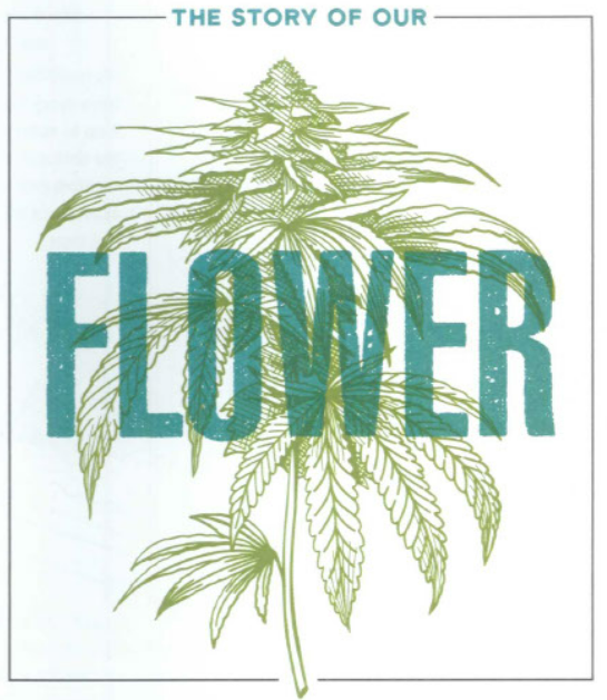 FARMACEUTICALRX tweet media