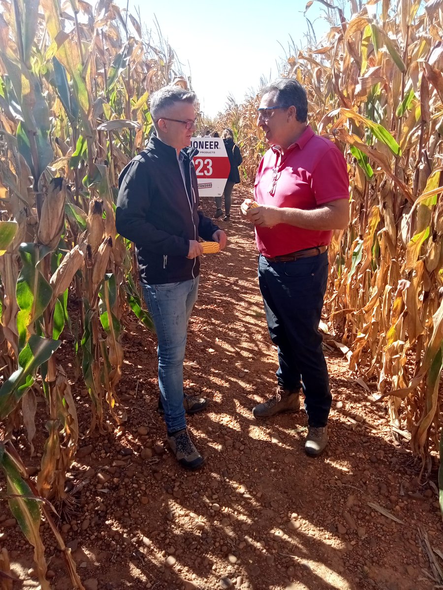 Prodelesa's tweet photo. Visita a los campos de ensayo de Pioneer - @CortevaES. 
📍 #LagunaDeNegrillos
🗓 Viernes 30 de septiembre
⭐️⭐️⭐️ Calidad óptima 

¡Qué poco queda para que empiece la campaña! 🌽

#maíz #camposdeensayo #SemillasPioneer https://t.co/KKGOz6t51F