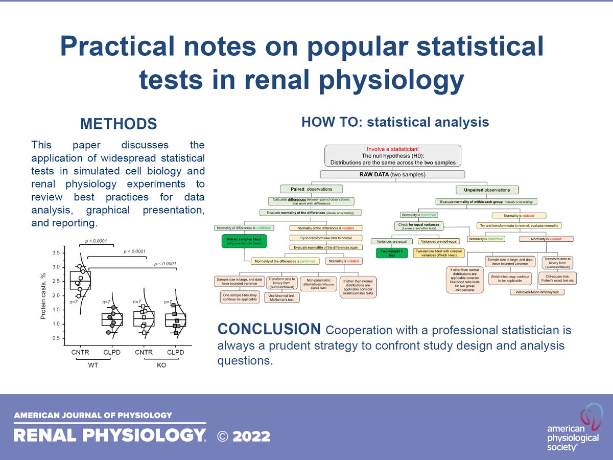 AJPRenal's tweet photo. 📝Practical notes on popular #statistical tests in renal physiology

https://t.co/dOq7rgfgdH

New #Review By: Mykola Mamenko, Daria V. Lysikova, @spi_dr  , Sergey S. Tarima, and @Renal_Phys

#AJPRenal #RigorAndReproducibility https://t.co/Sfi6EtBvkl