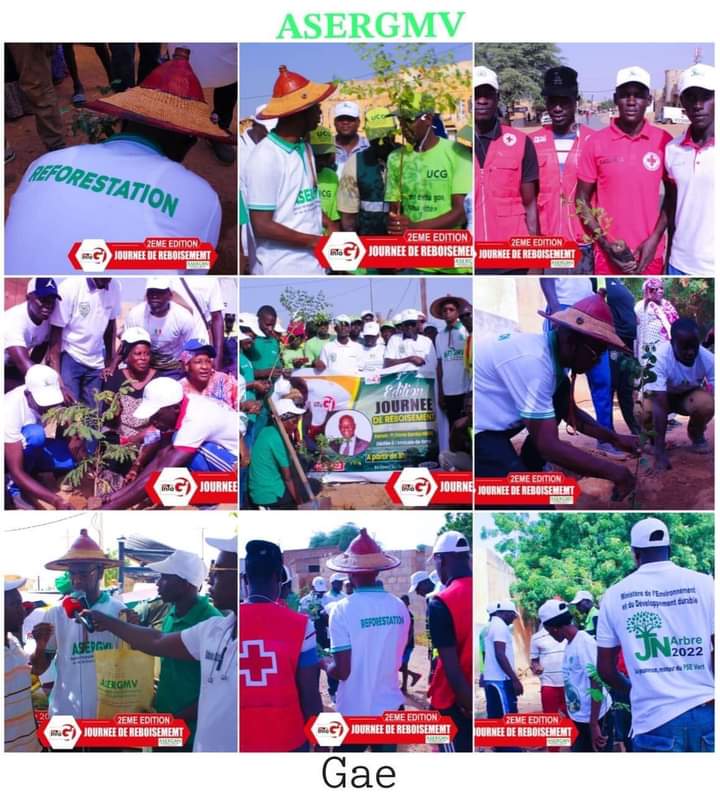 MAmadou86887156's tweet photo. Partout à travers le Sénégal ces activités  de reboisement matérialisent la synergie des actions gouvernementales pour un résultat commun, mobilisant la jeunesse, le Secteur des Eaux et Forêt  et l’ANCAR, l’UGC, le FERA,  la Croix Rouge pour un 🇸🇳 vert 🙏🏿
#ASERGMV 
@Obajrsen https://t.co/ipF16MZZZ3