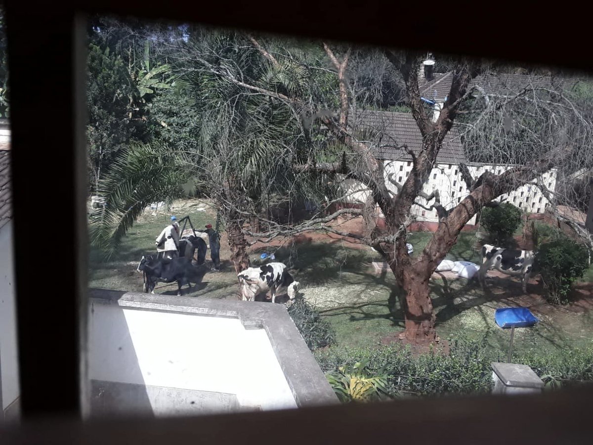 Robert ALAI, HSC tweet media