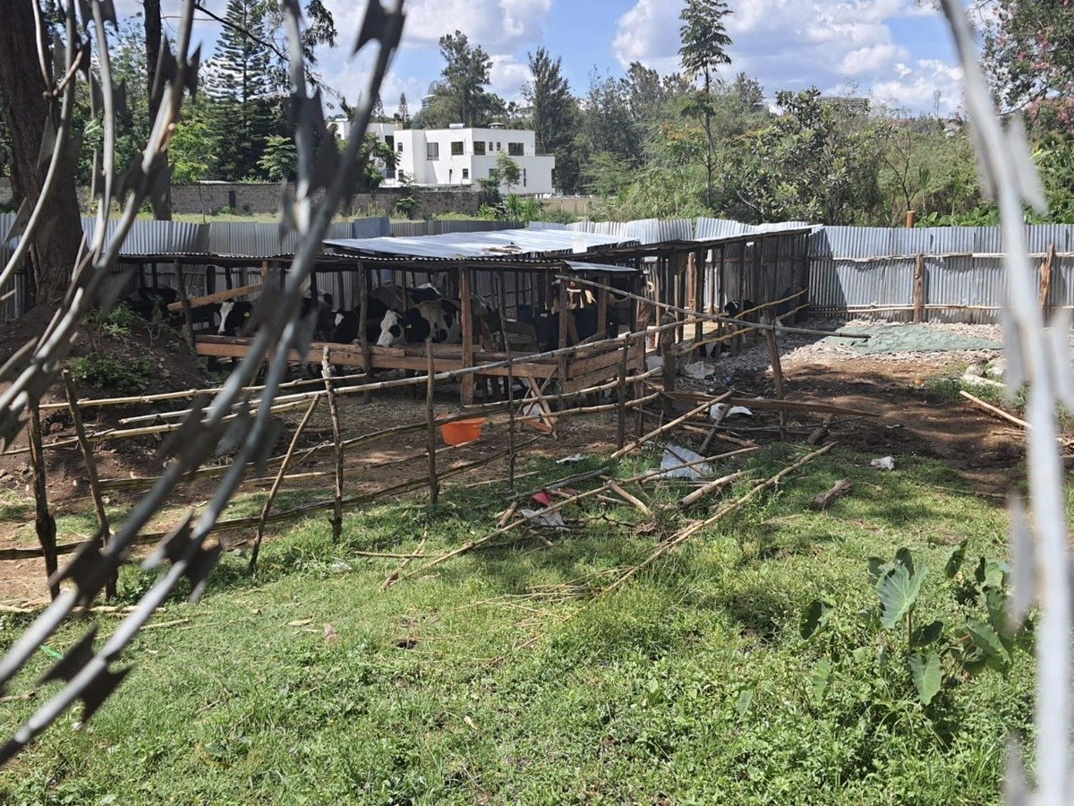 Robert ALAI, HSC tweet media