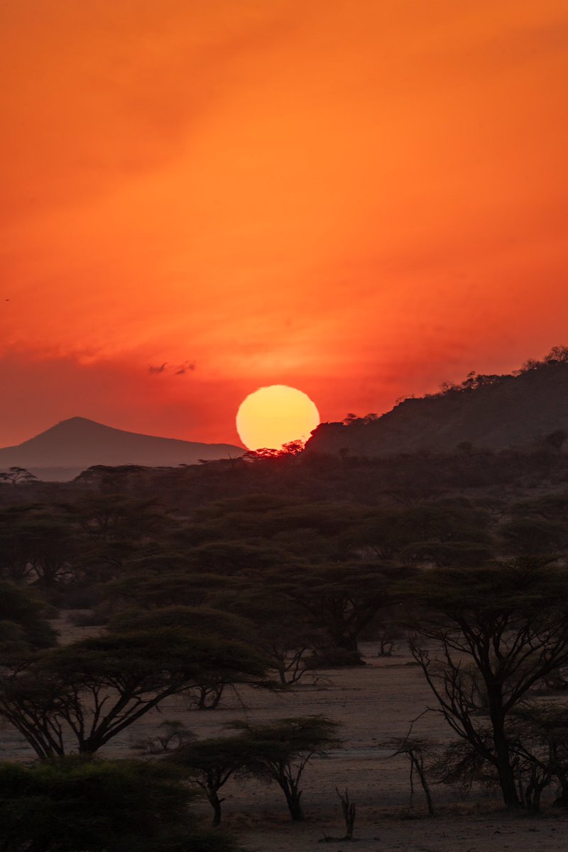 Samburu’s morning glory is something to behold. It was only obviously that we’d catch the sunrise followed by a safari and bush breakfast around the conservancy by <a href="/SarovaHotelsKen/">Sarova Hotels Kenya</a> 

<a href="/WambuiThimba/">Wambui Thimba</a> came through with my safari look.

#TheSarovaExperience #FashionEscapadeKE