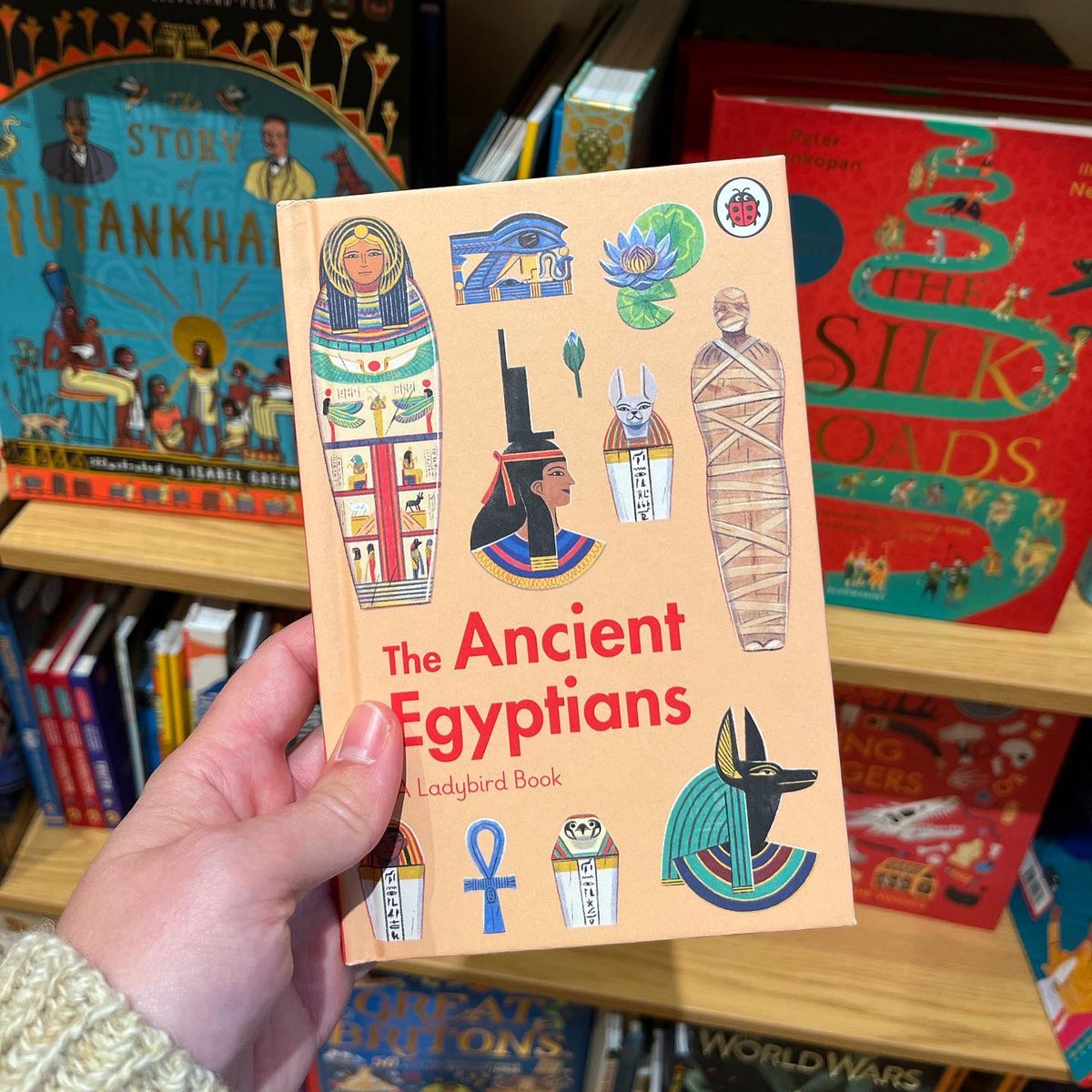 HypatiaHeuresis's tweet photo. Seen in the wild at @WaterstonesLPL! 📚🥰🐞

#childrensbooks #ladybirdbooks #ancientegypt #beautifulprojects #bibliophile https://t.co/1QegcNenvg
