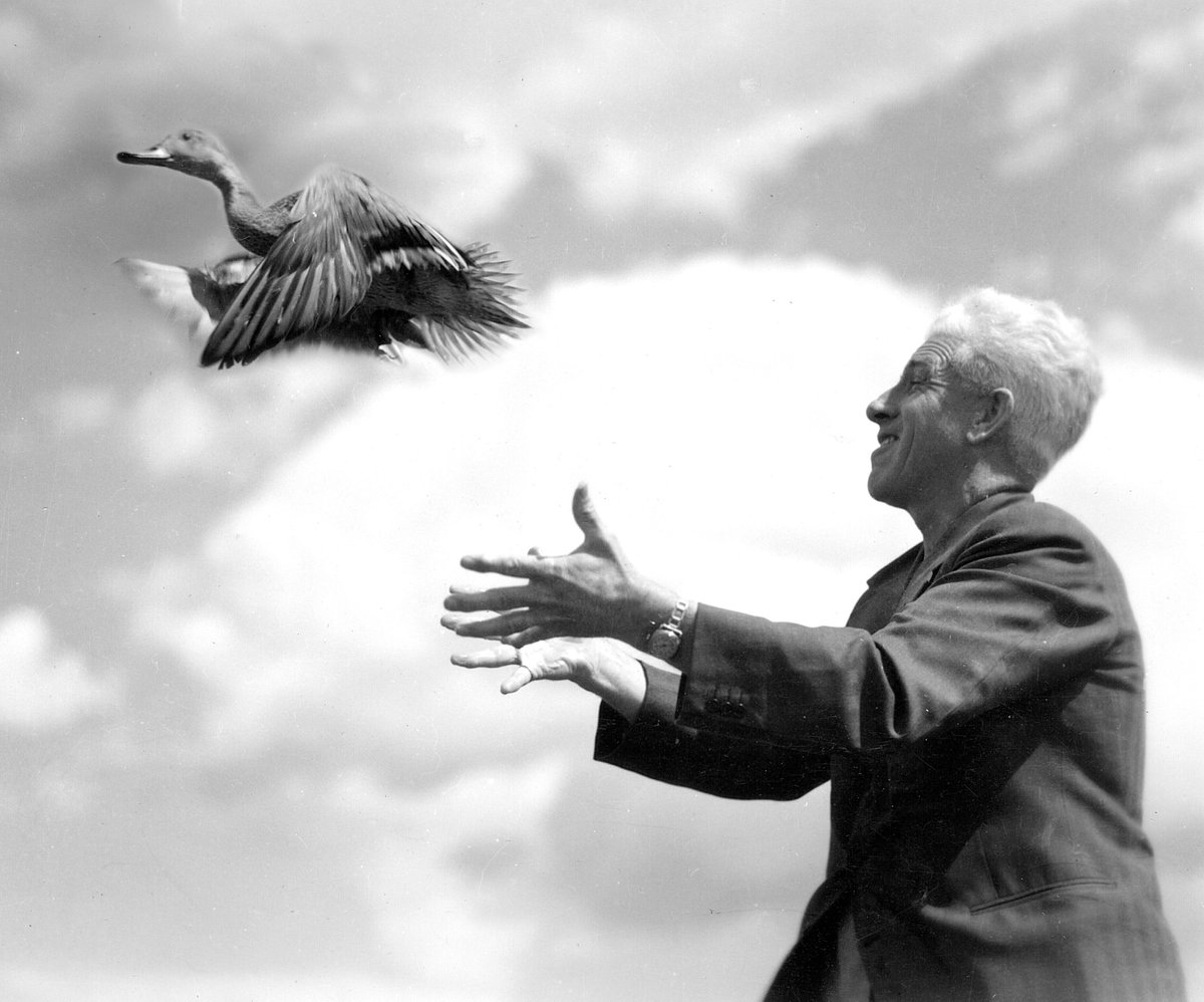 Since its founding in 1938 by Canadian and American sportsmen, Ducks Unlimited Canada has played a leading role in the development of innovative approaches to wetland restoration and waterfowl conservation. 🦆  #ParksCanada &amp; #HSMBC will commemorate <a href="/ducanada/">Ducks Unlimited CAN</a> on Oct. 5. 📅