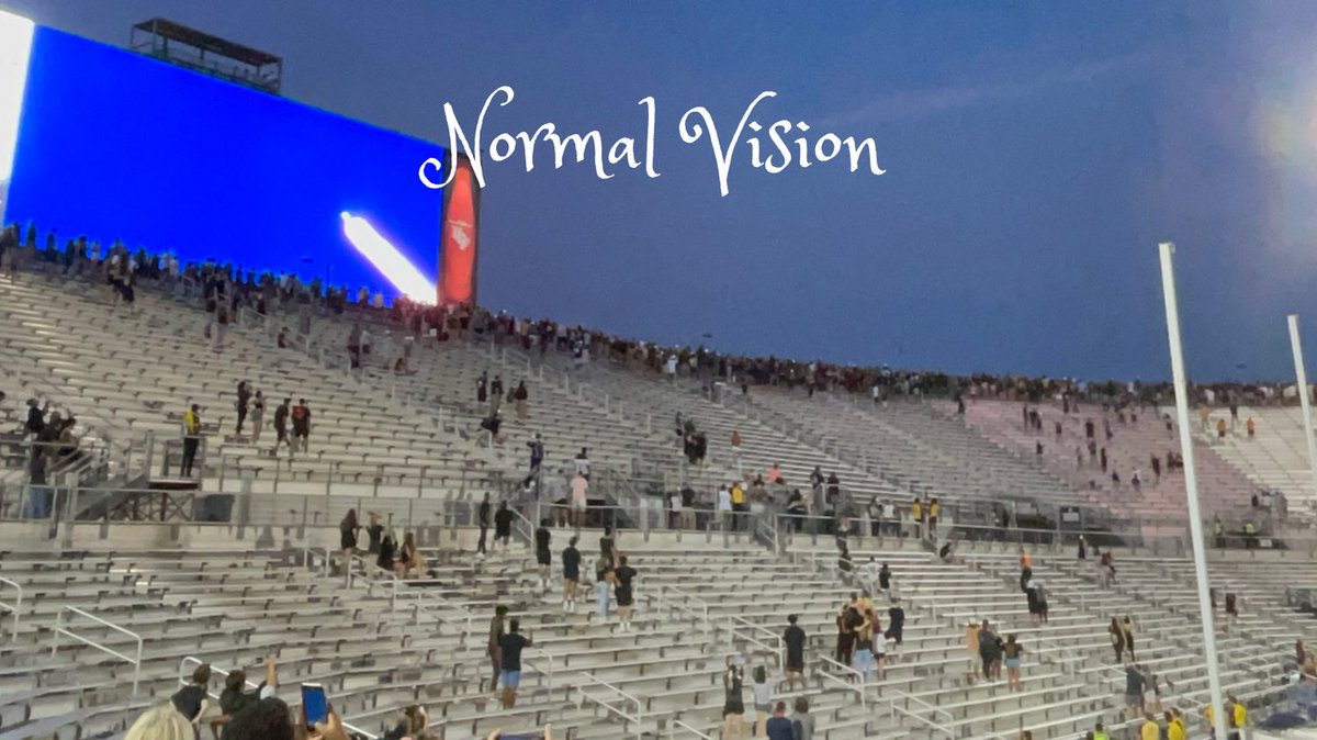 Eye On Vision Foundation tweet media
