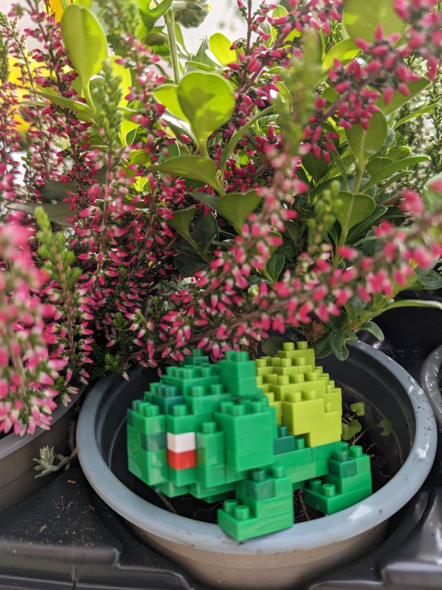 CarallBlack's tweet photo. #Floktober (le défi consiste à poster une création de notre choix par jour durant le mois d'Octobre, basé sur la liste d' @AngleDroit_ ) - Thème jour 3 (03/10/2022) : "Mini jungle" low effort photos mais ya des jours sans hein 🧐 https://t.co/SIojyqa0m0