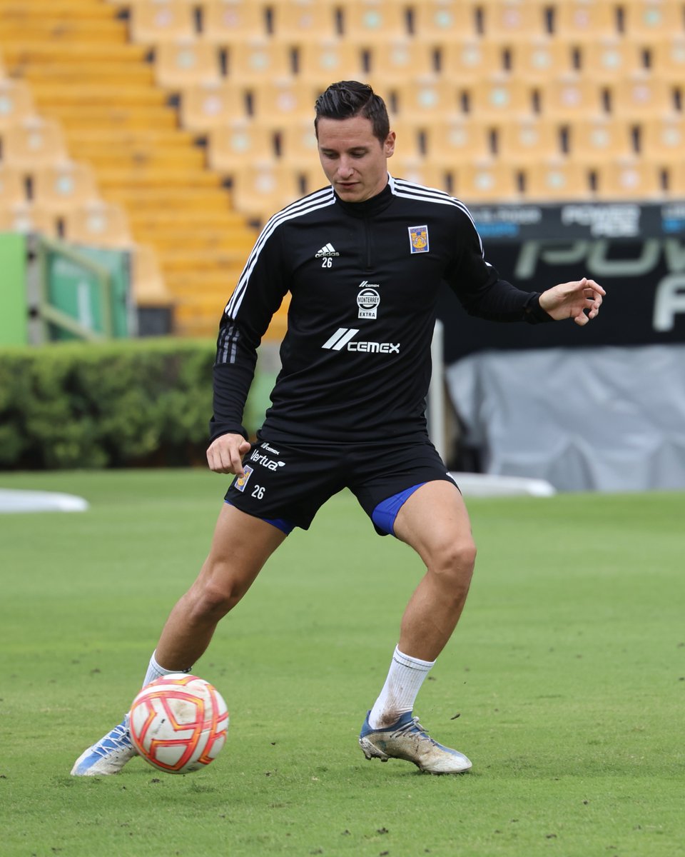 TigresOficial's tweet photo. ¡Venga, Flo'! 🤴🇫🇷 https://t.co/VXebNJIsVW
