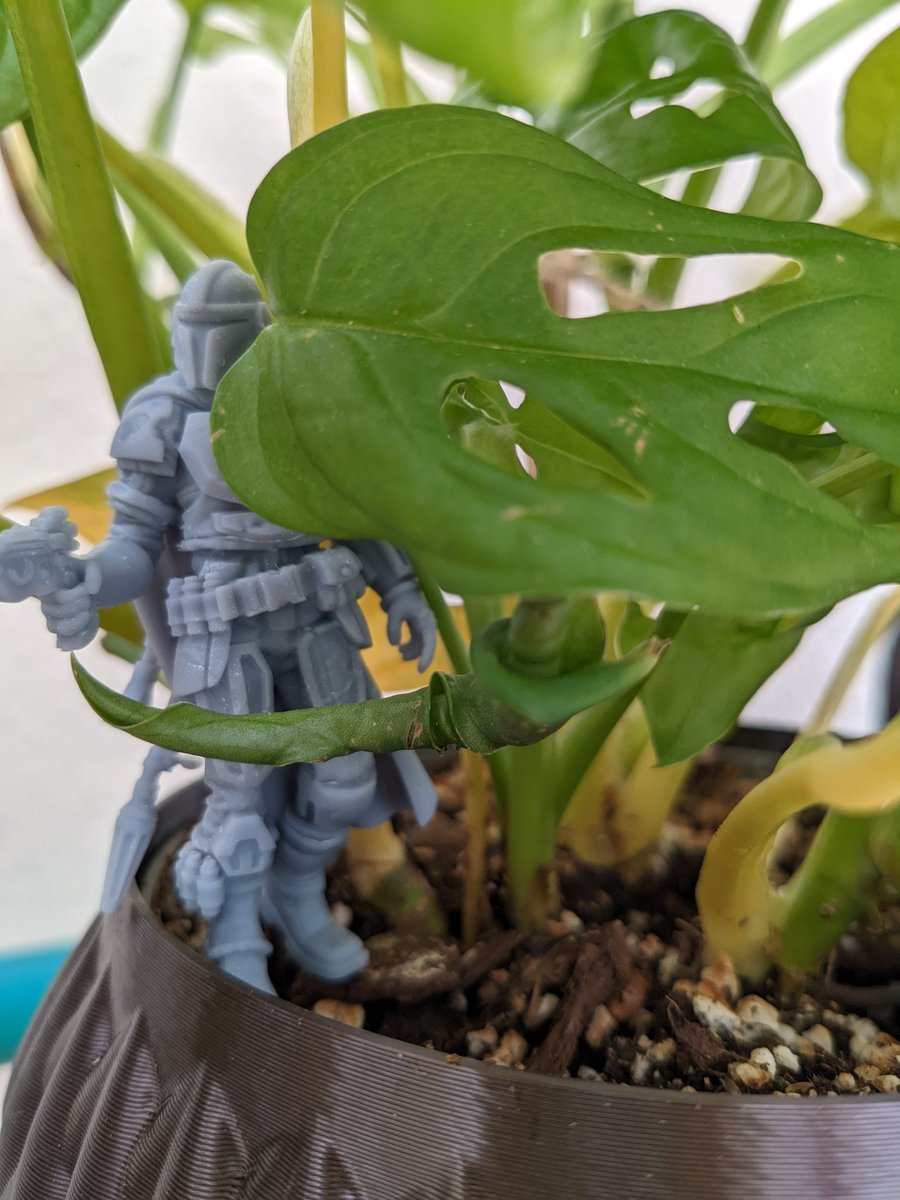 CarallBlack's tweet photo. #Floktober (le défi consiste à poster une création de notre choix par jour durant le mois d'Octobre, basé sur la liste d' @AngleDroit_ ) - Thème jour 3 (03/10/2022) : "Mini jungle" low effort photos mais ya des jours sans hein 🧐 https://t.co/SIojyqa0m0