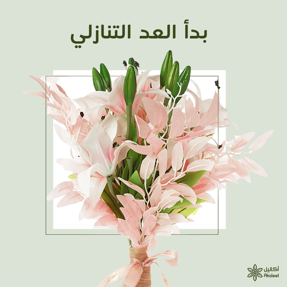 AkaleelApp's tweet photo. العطر خلاص فاح ما نقدر نسيطر على عبقه🫣🤍 
#اكاليل #الدمام #الخبر #روز #flowers #flower #nature https://t.co/efso00M29V