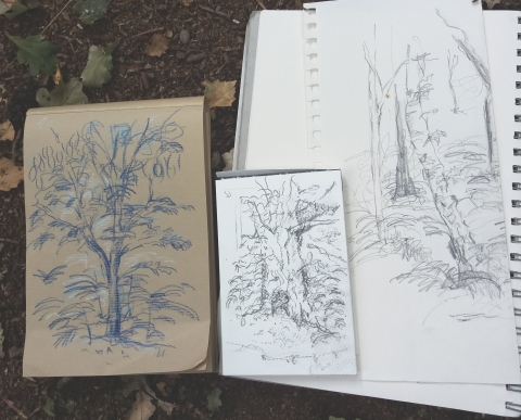 ArbourCare's tweet image. Enjoy a relaxing day in the woods learning to sketch trees with @SurreyWT on 8th October - full details here: ow.ly/kAHx50KYQsg #Surrey #thingstodooutside