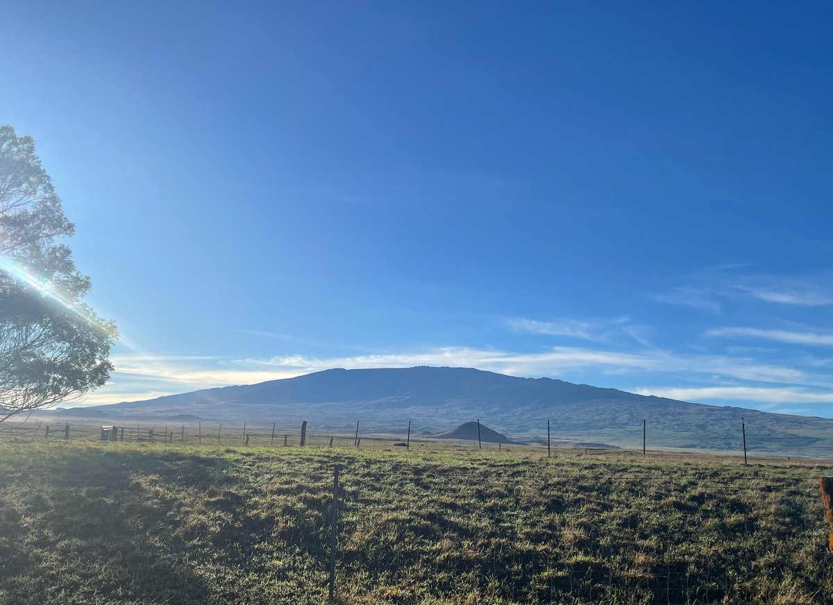 parkerranchinc's tweet photo. Aloha Kakahiaka! Good Morning! Have a good week! #waimea #maunakea #horses https://t.co/y3e5OZWfcq
