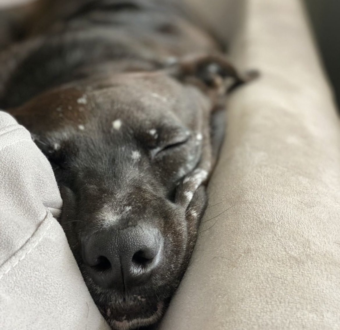 This Monday is really Monday-ing.