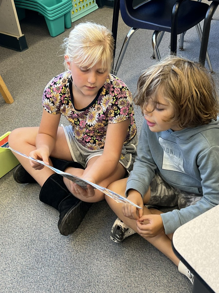 Katy Novoa tweet media