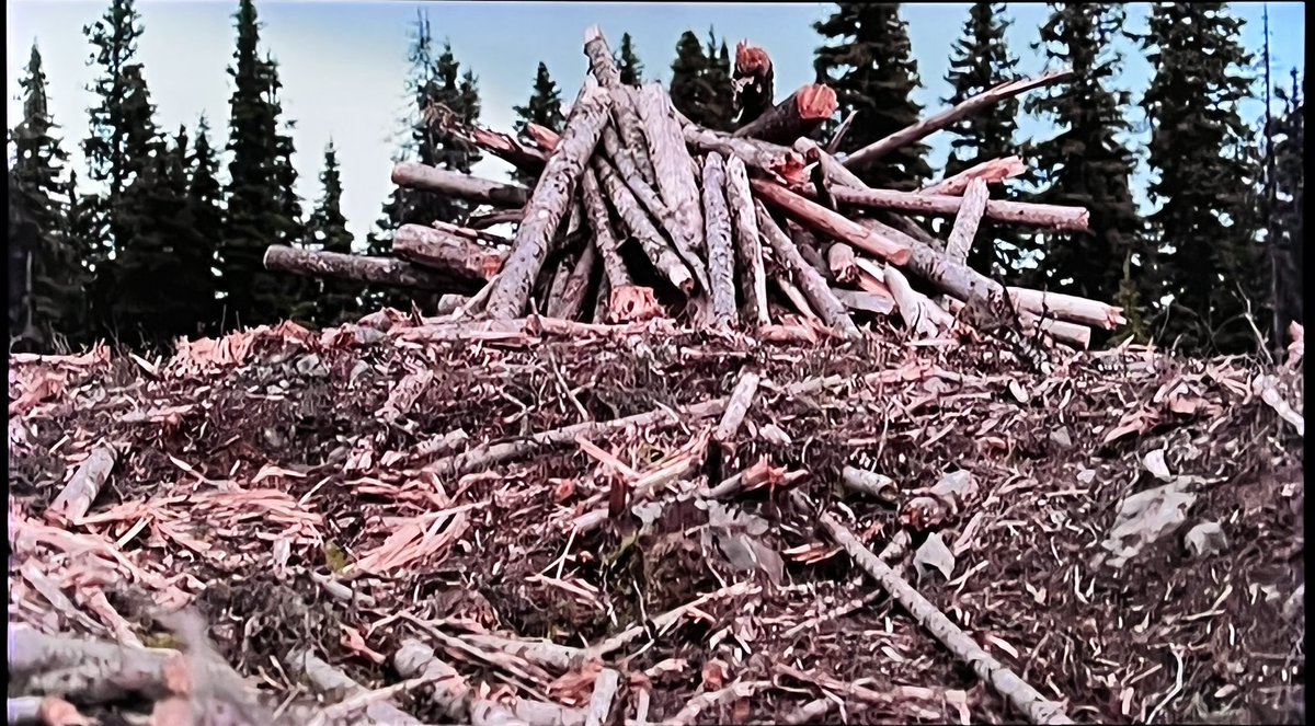 Maritimegeek's tweet photo. .@DraxGroup receiving billions in UK green subsidies while seemingly cutting down important primary forest to make wood pellets? Questions need to be asked NOW #Panorama #greenwashing @KwasiKwarteng #Draxgreenwashing @BBCPanorama https://t.co/C4lUflJWTM